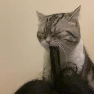 性欧美乱束缚XXXX白浆
