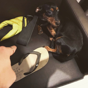 性欧美乱束缚XXXX白浆
